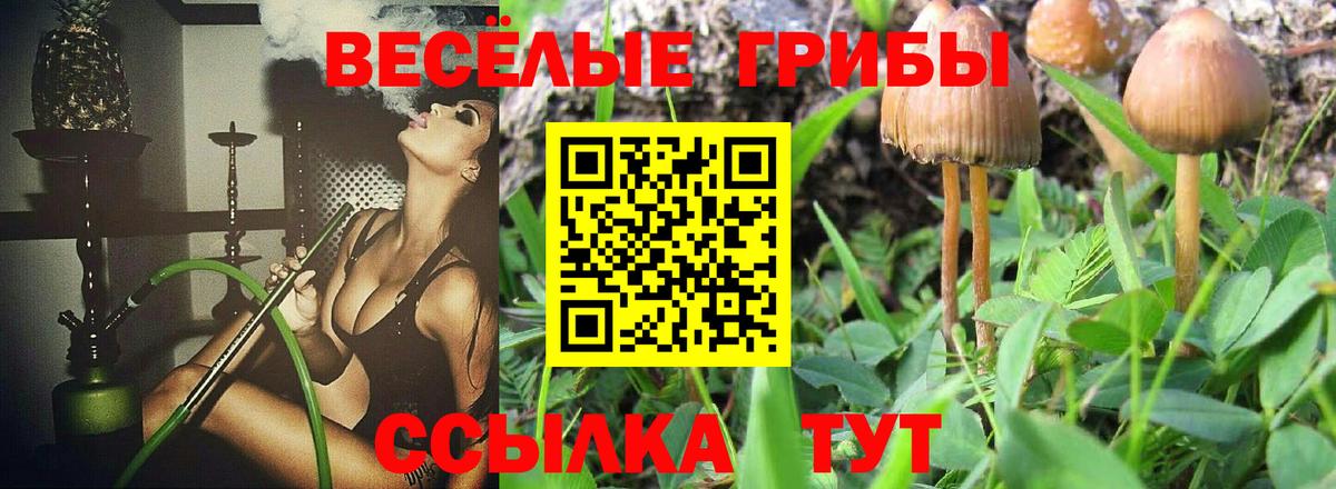 Галлюциногенные грибы MAGIC MUSHROOMS  Вход с VPN  Новокубанск 
